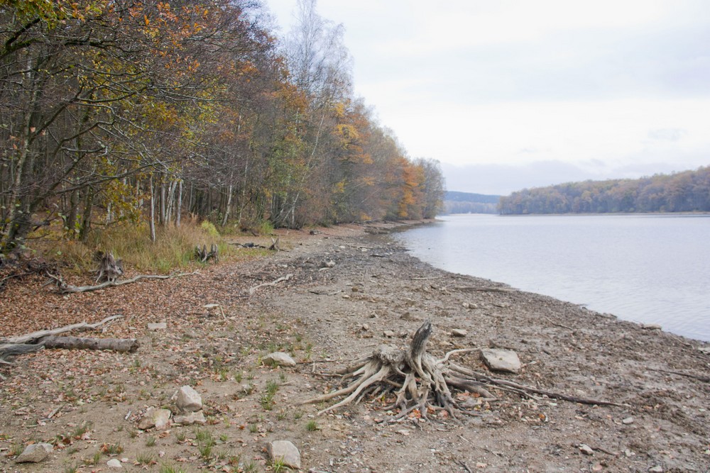 lac-des-vieilles-forges-automne-la-boucle-voyageuse-12