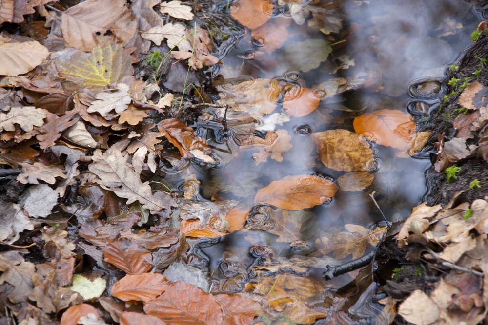 lac-des-vieilles-forges-automne-la-boucle-voyageuse-14