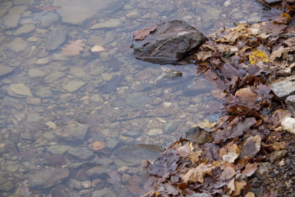 lac-des-vieilles-forges-automne-la-boucle-voyageuse-4