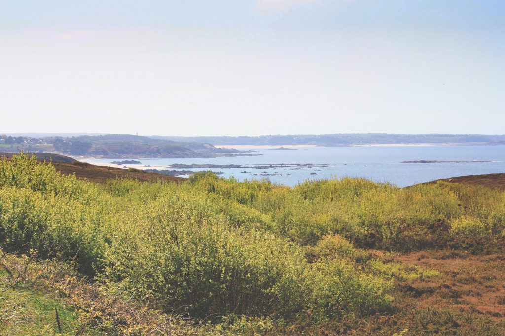 Véloroute entre le Cap Fréhel et les sables d'or