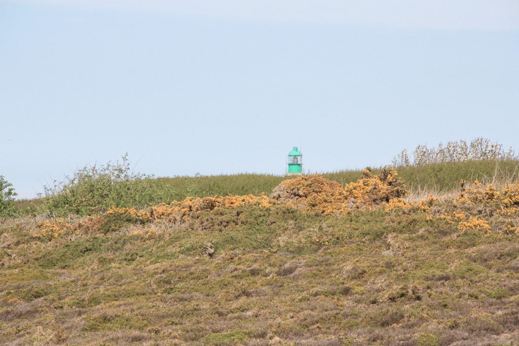 Véloroute entre le Cap Fréhel et les sables d'or