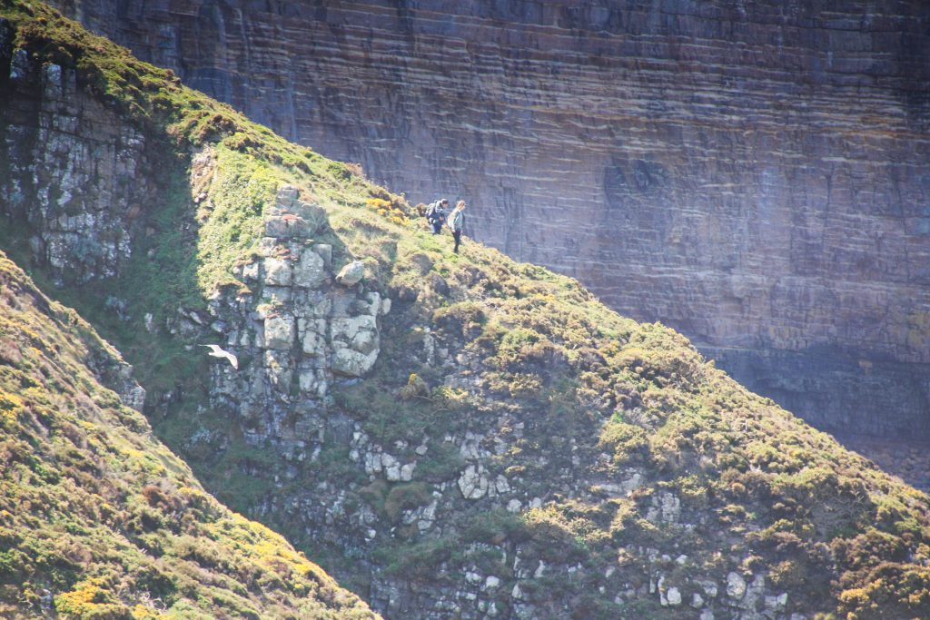 Cap Fréhel