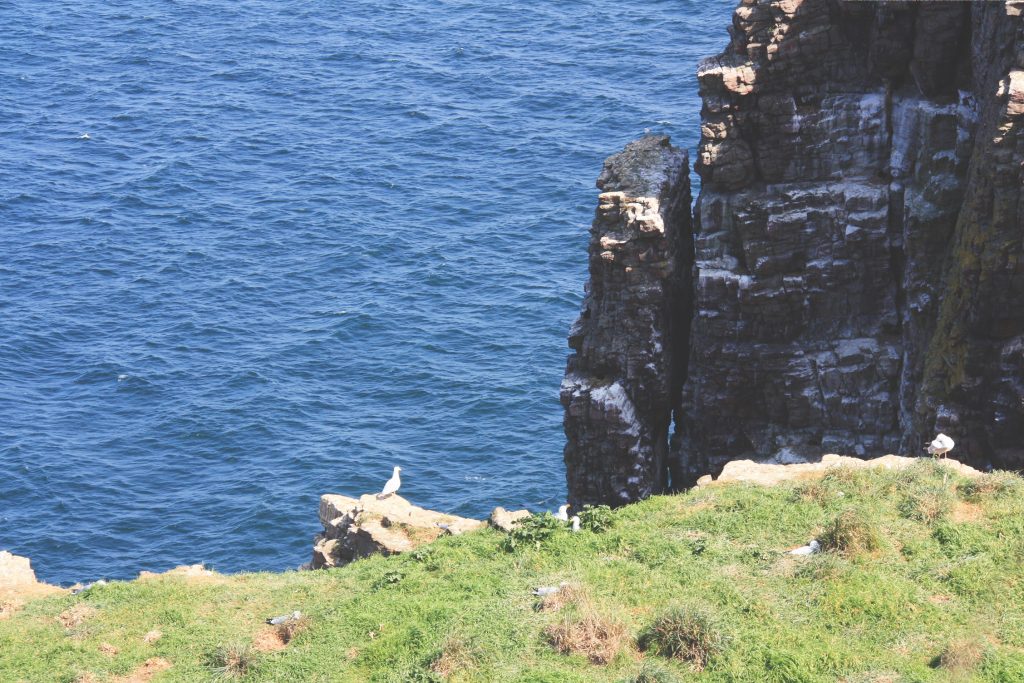 Cap Fréhel