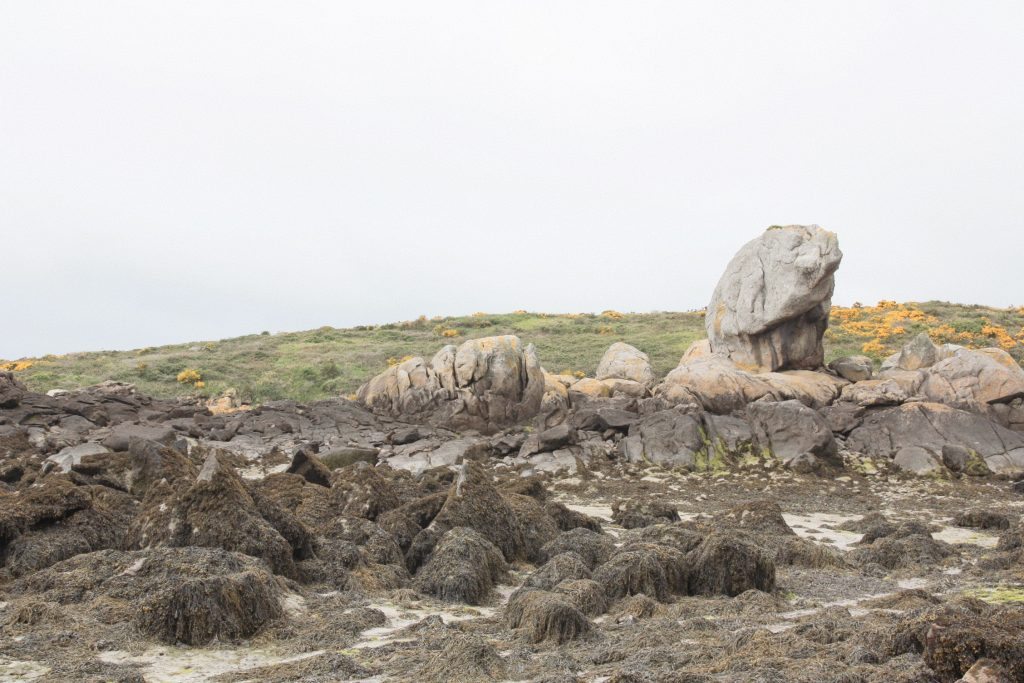 Elephant Iles Chausey