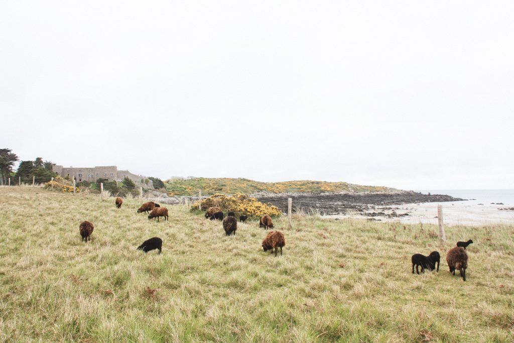 Iles Chausey