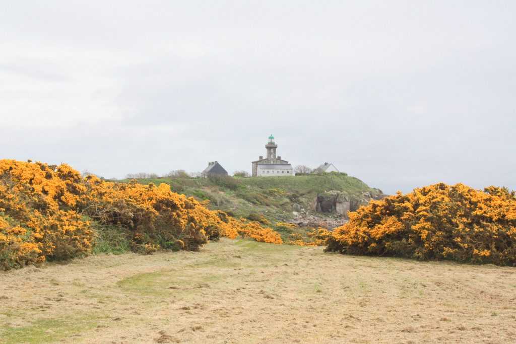 Iles Chausey