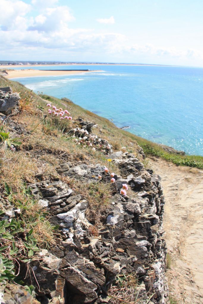 Cap Carteret sentier des douaniers