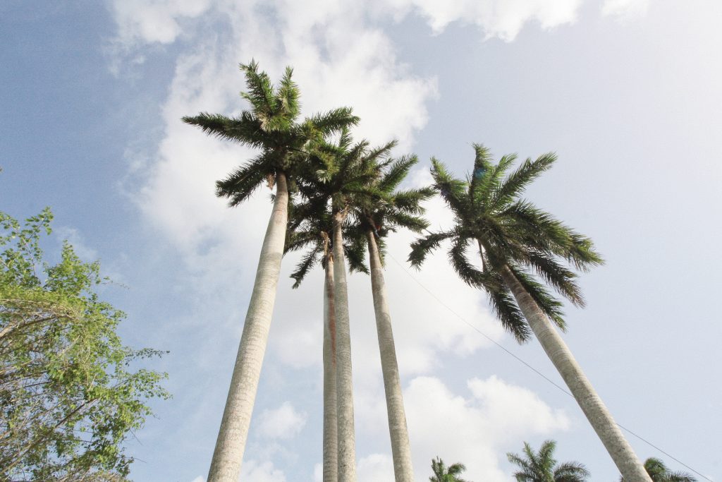 Voyage à Cuba