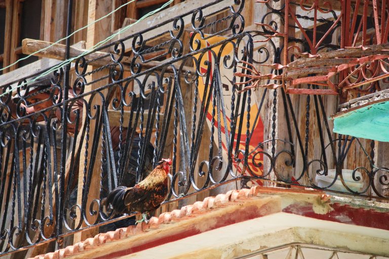 A Quoi Sert La Boule Au Dessus Des 4 Couleurs Cuba : La Havane - La Boucle Voyageuse