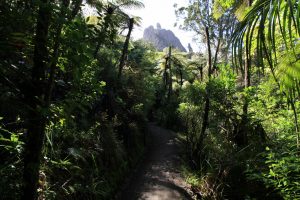 Rando Mont Manaia Northland Nouvelle Zélande