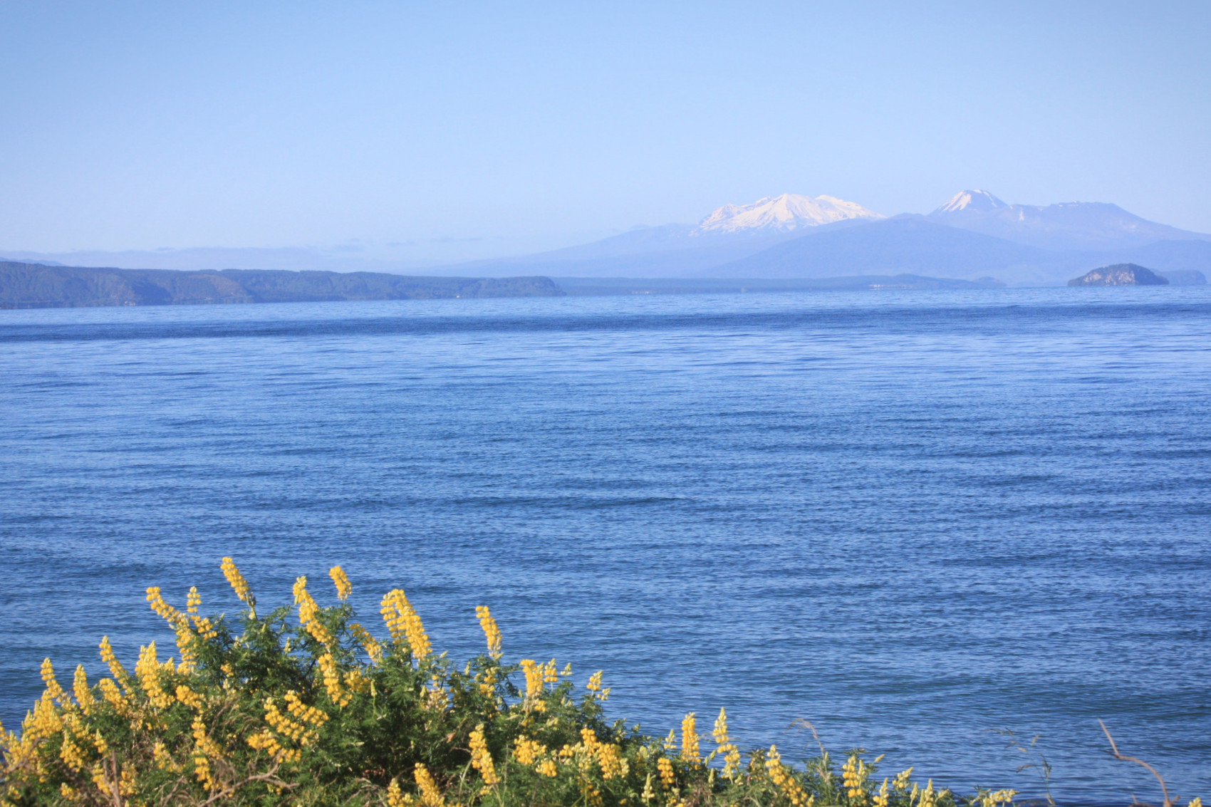 lac taupo photos