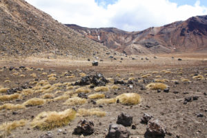 Tongariro-south-crater_Nouvelle-Zelande