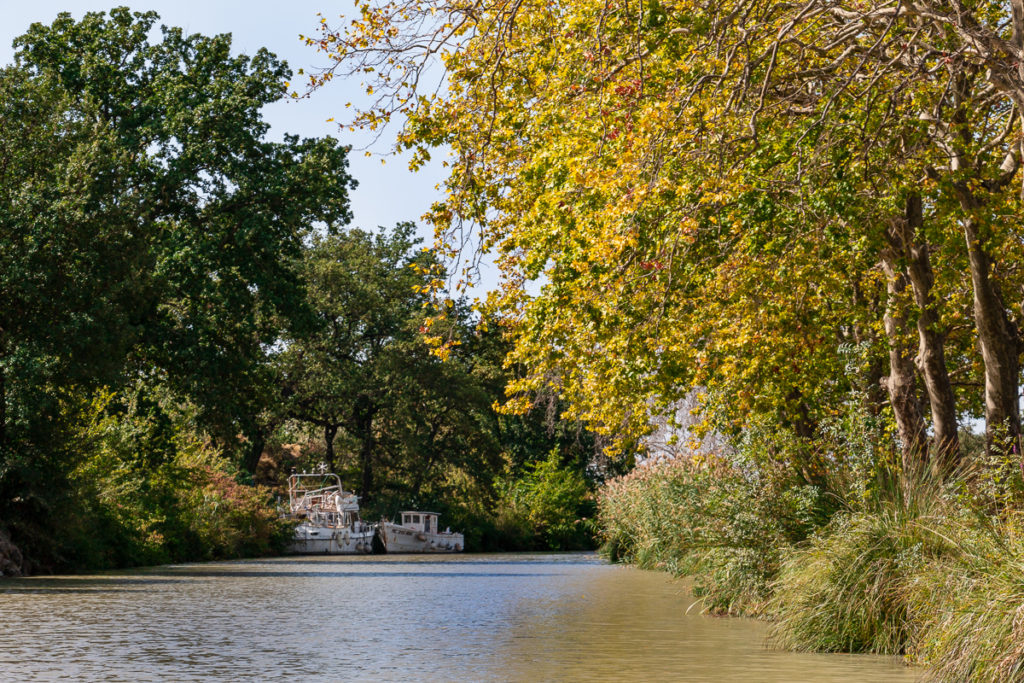 Balade bateau Canal du midi - Capestang