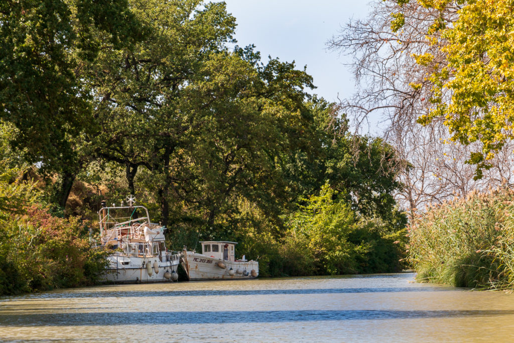 Balade bateau Canal du midi - Capestang