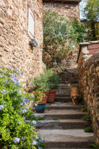 Beauchastel Village de caractère Ardèche