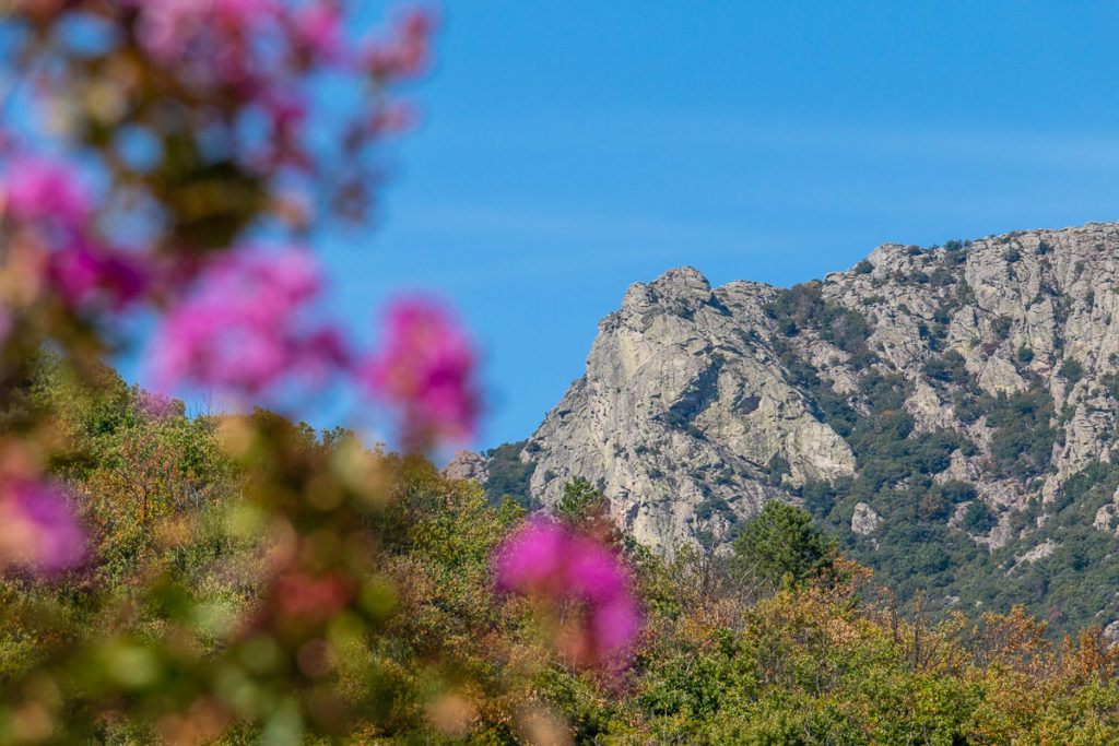 Camping du Caroux Mons Hérault