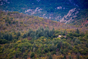 Parc du Haut-anguedoc depuis Olargues