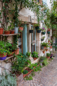 Ruelle d'Olargues