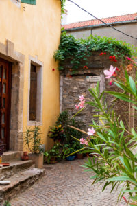 Ruelle d'Olargues