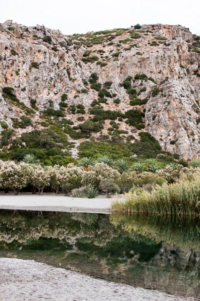 Palm Beach Preveli Crete