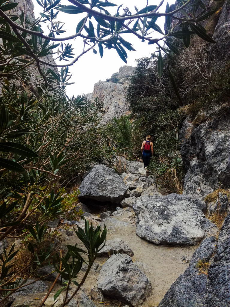 Palm Beach Preveli Crete