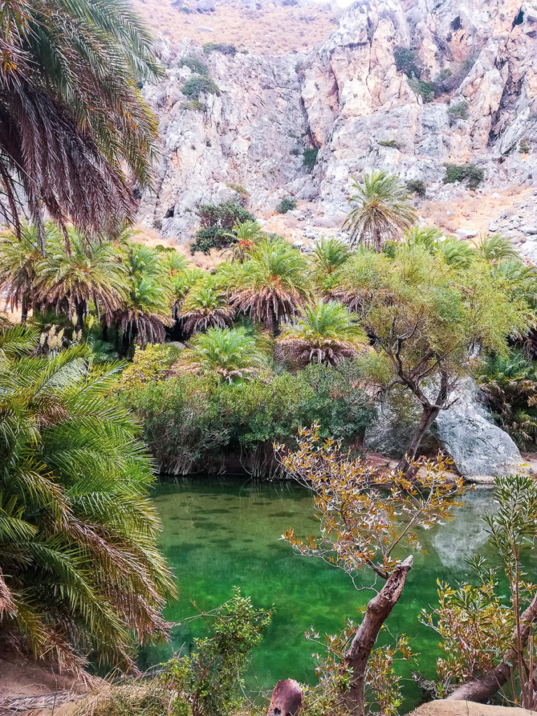 Palm Beach Preveli Crete