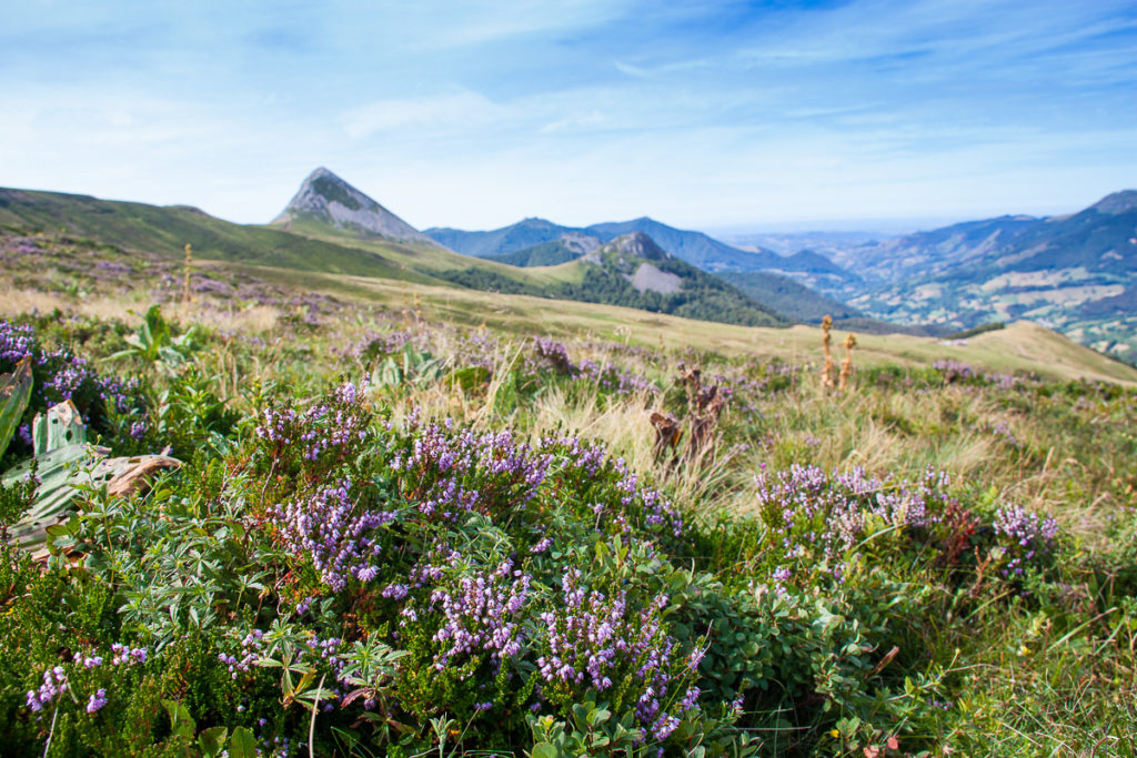 GR 400 Cantal Auvergne