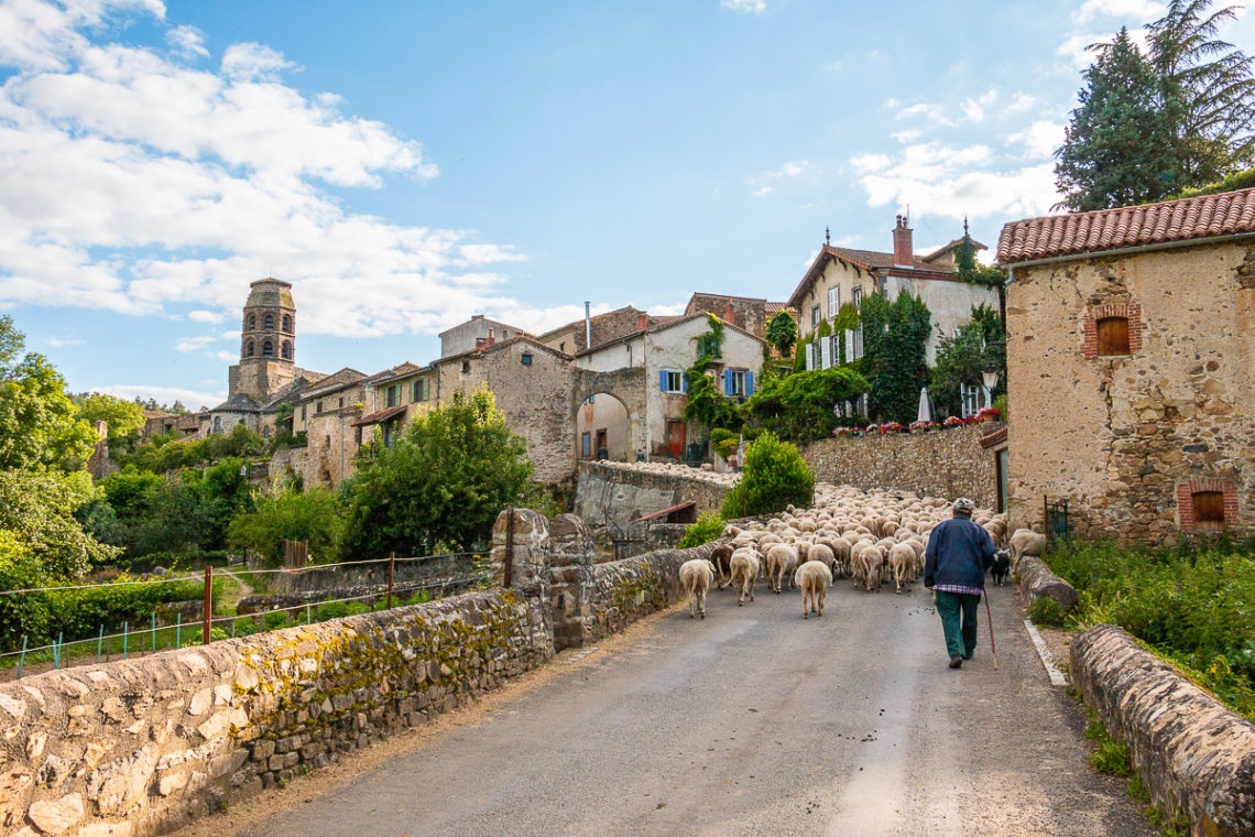 Troupeau de moutons Lavaudieu