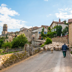 Troupeau de moutons Lavaudieu