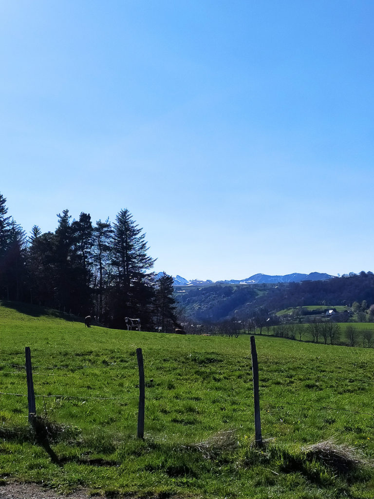 Balade en Auvergne en poussette à Besse