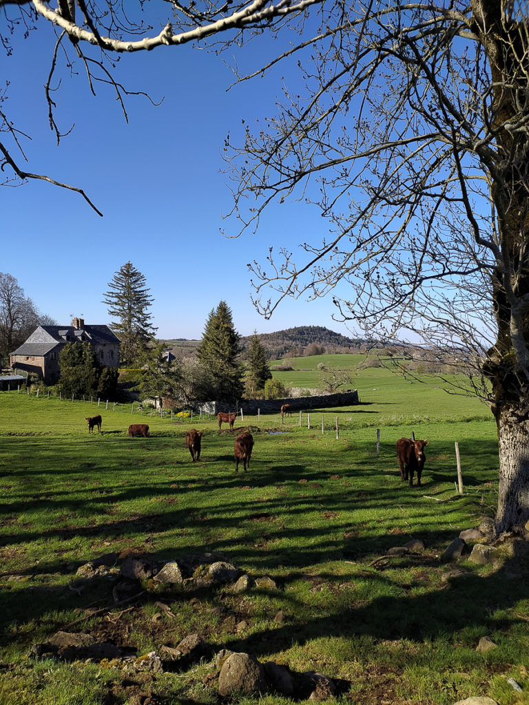 Balade en Auvergne en poussette à Besse