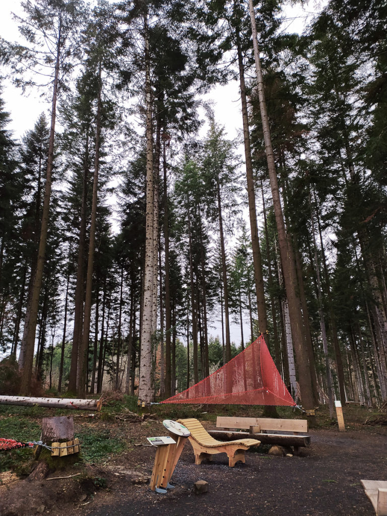 Balade en Auvergne en poussette foret de la comté